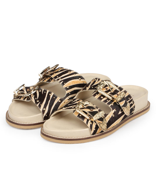 Alpha Ambition slides