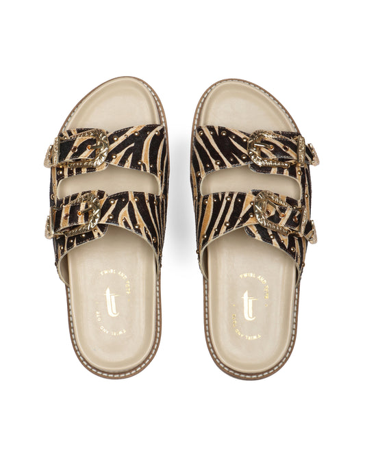 Alpha Ambition slides