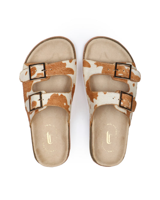 Wilderness Walk slides