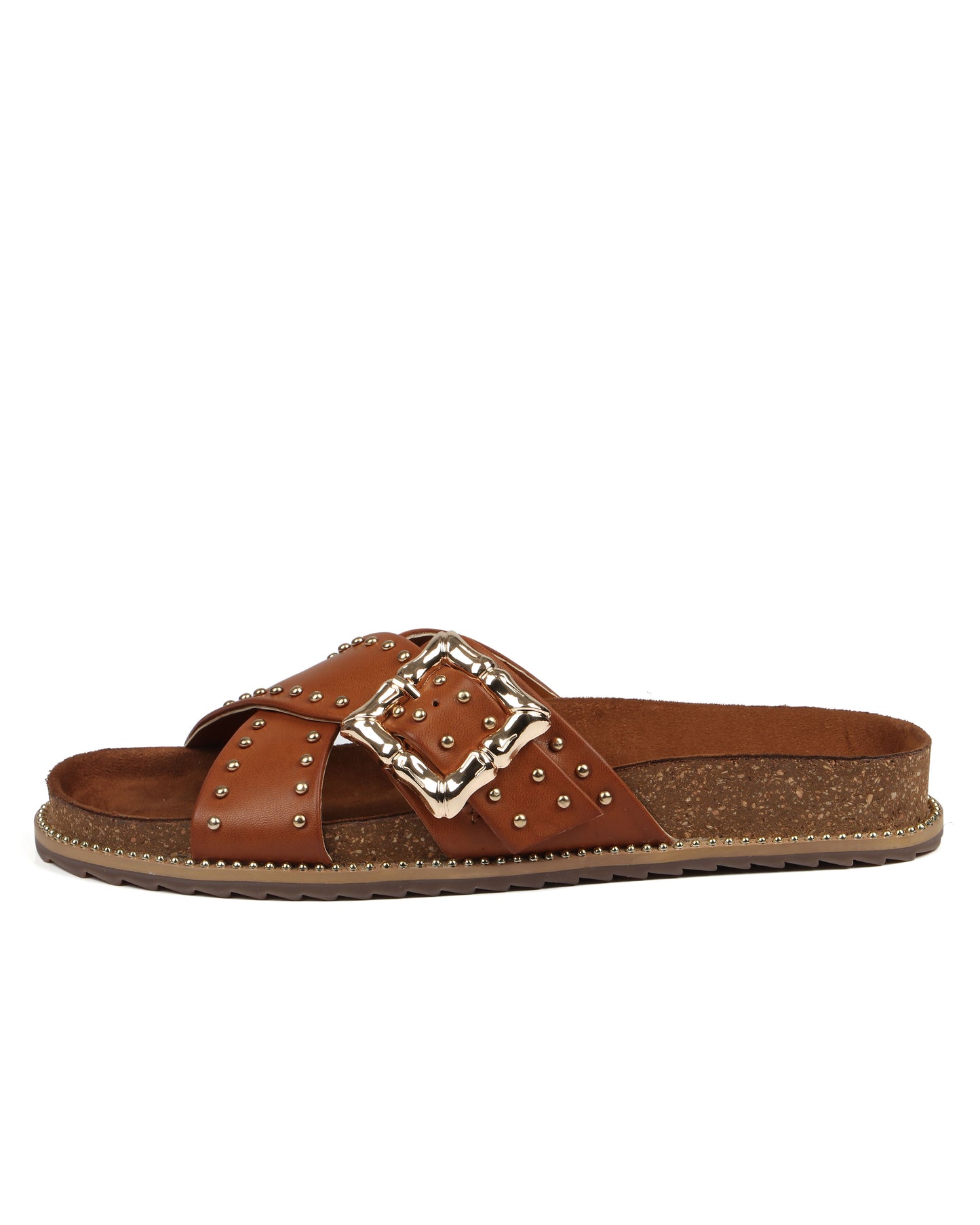 Graceful Striders Slides