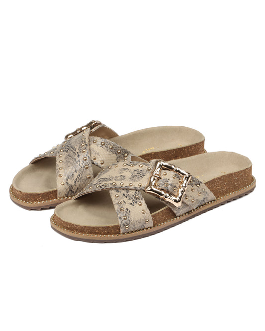 Graceful Striders Slides