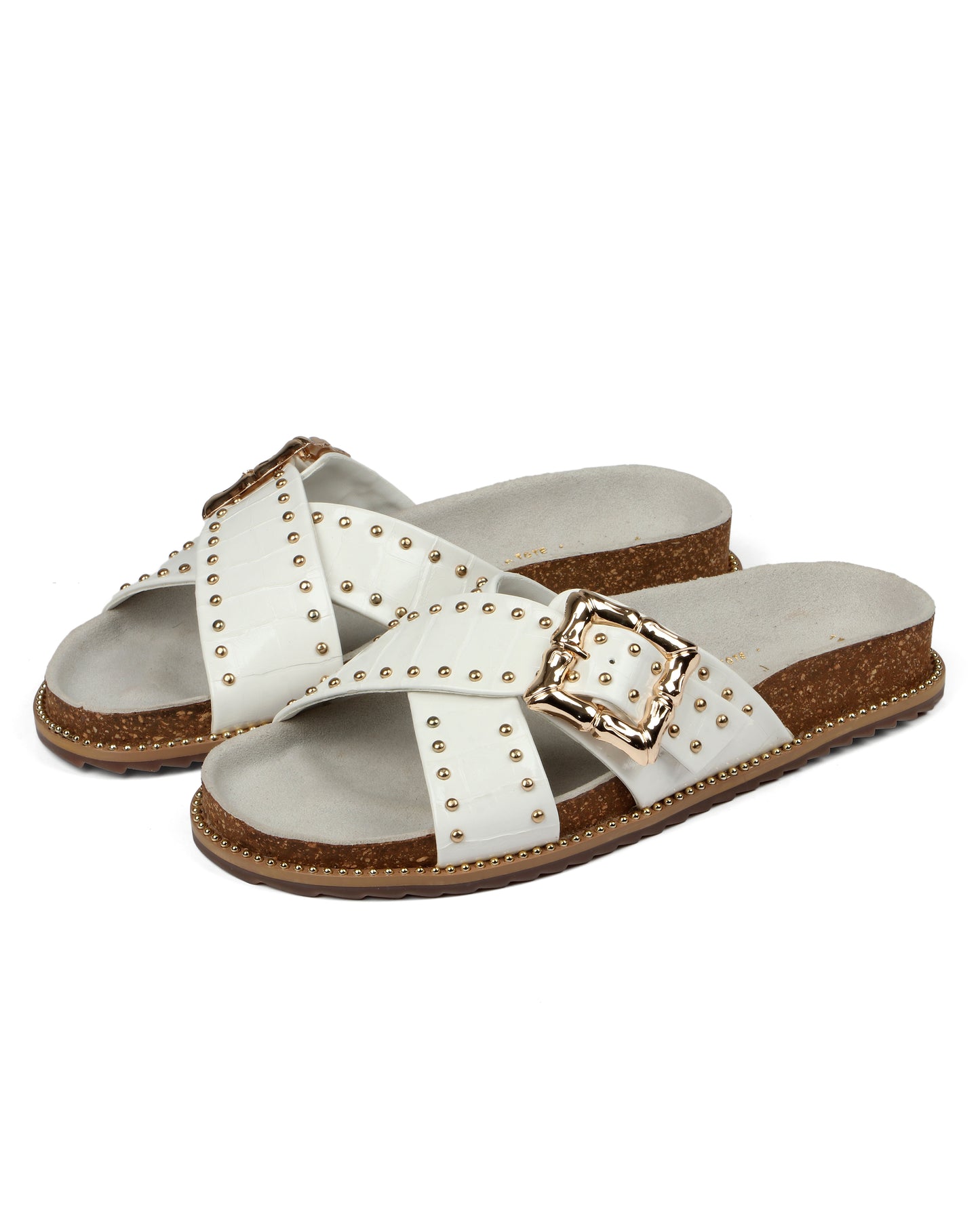 Graceful Striders Slides