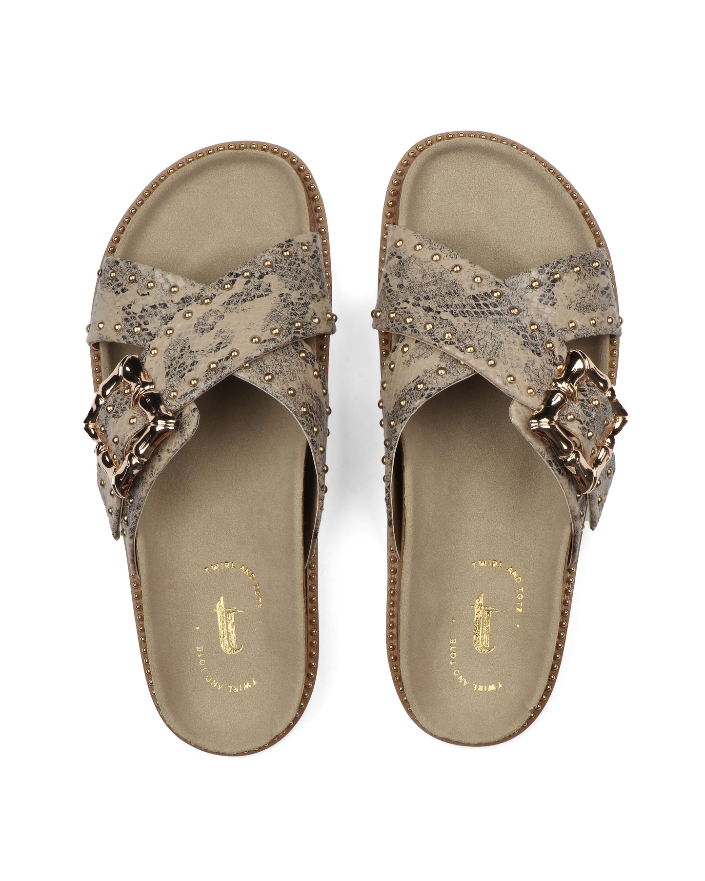 Graceful Striders Slides