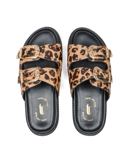Alpha Ambition slides