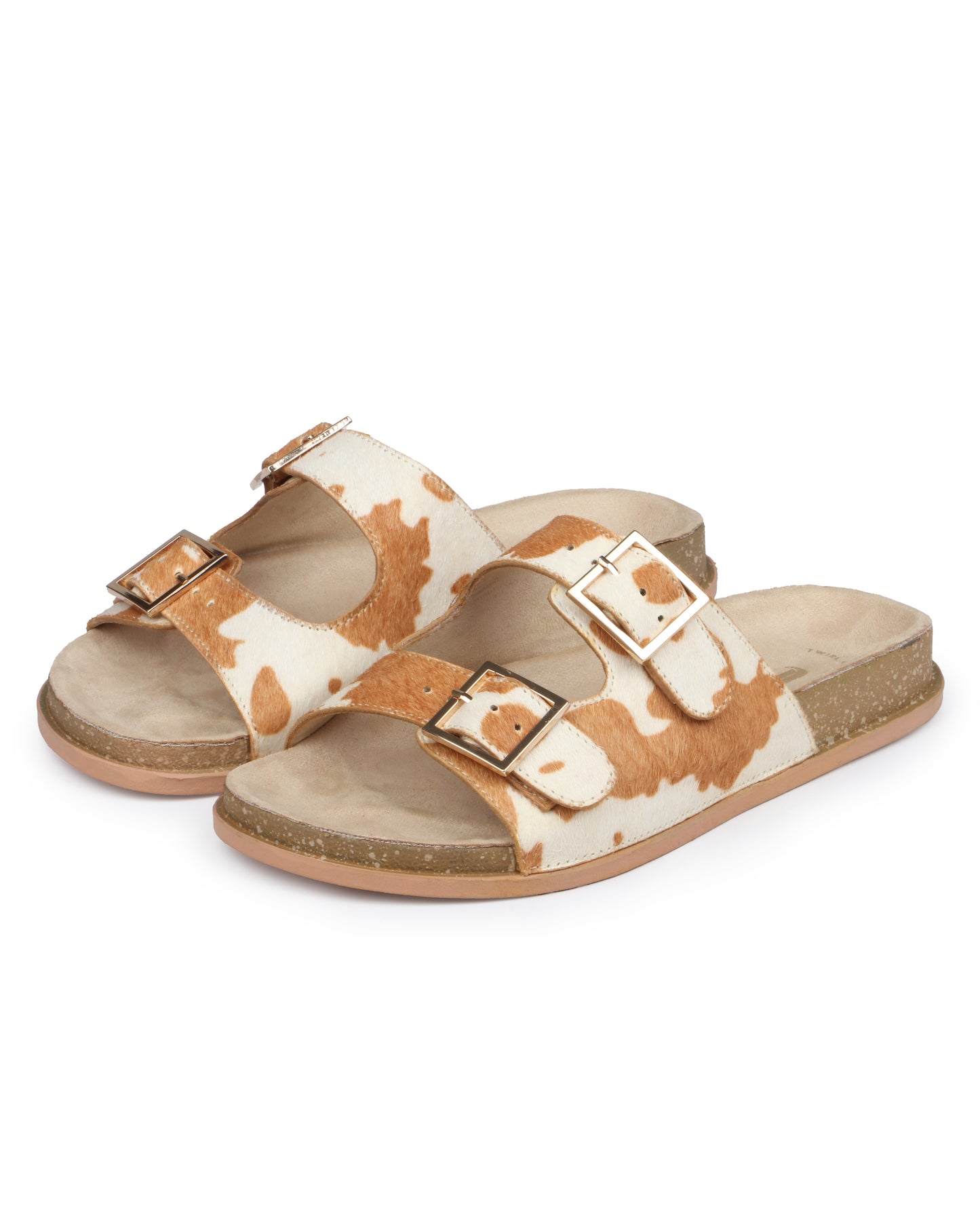 Wilderness Walk slides