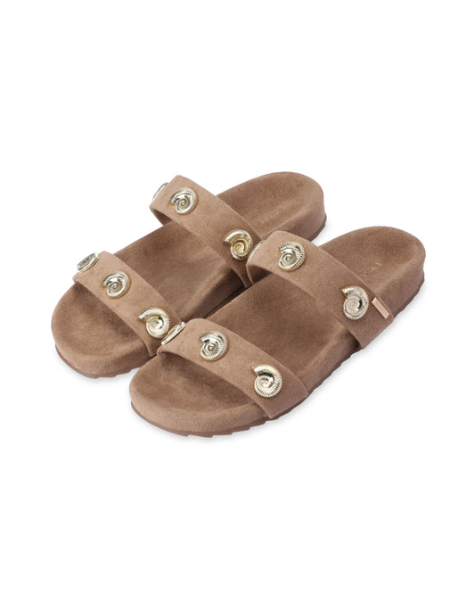 Coralia Slides