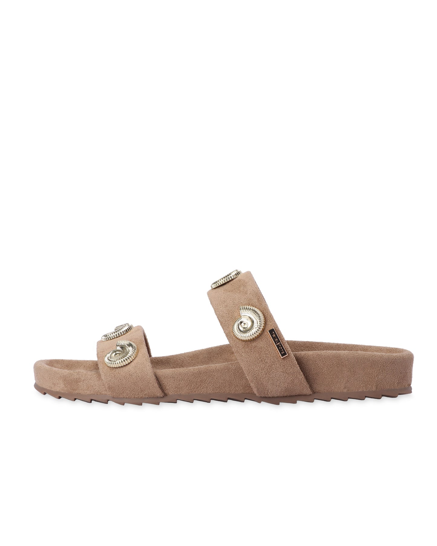 Coralia Slides