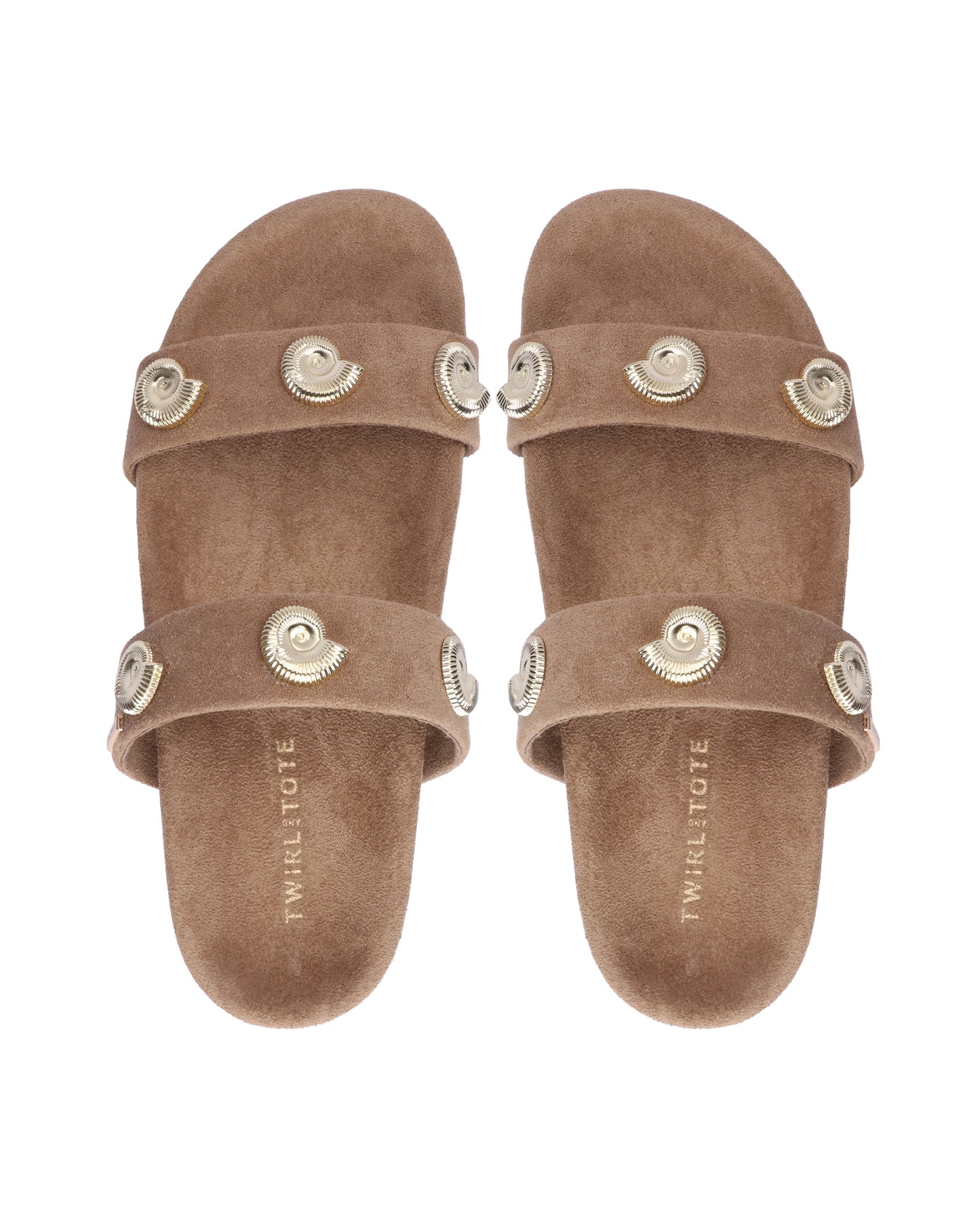 Coralia Slides
